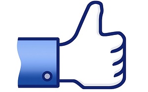 Facebook in posel: Lahko podjetje uspe preko družabnega omrežja?